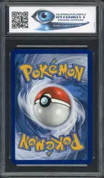 igs-pikachu back