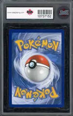 ksa-raichu back
