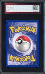 ksa-wartortle back