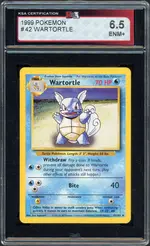 ksa-wartortle front