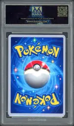 mana-pockettortle back