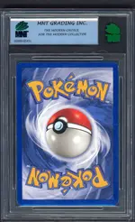 mnt-wartortle back