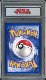 nsa-entei back