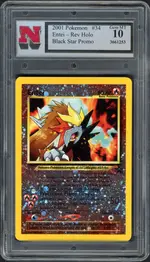 nsa-entei front