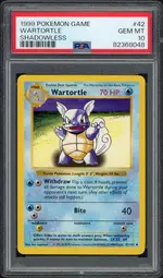 psa-shadowlesswartortle front