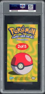 psa-squirtletopper back