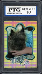ptg-toto front