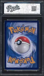 pyxis-wartortle2 back