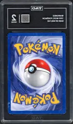 tag-wartortle back