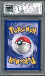tsg-wartortle back