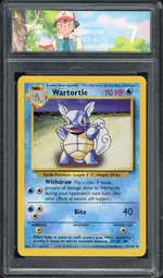 tsg-wartortle front
