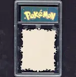 unknown-wartortle back