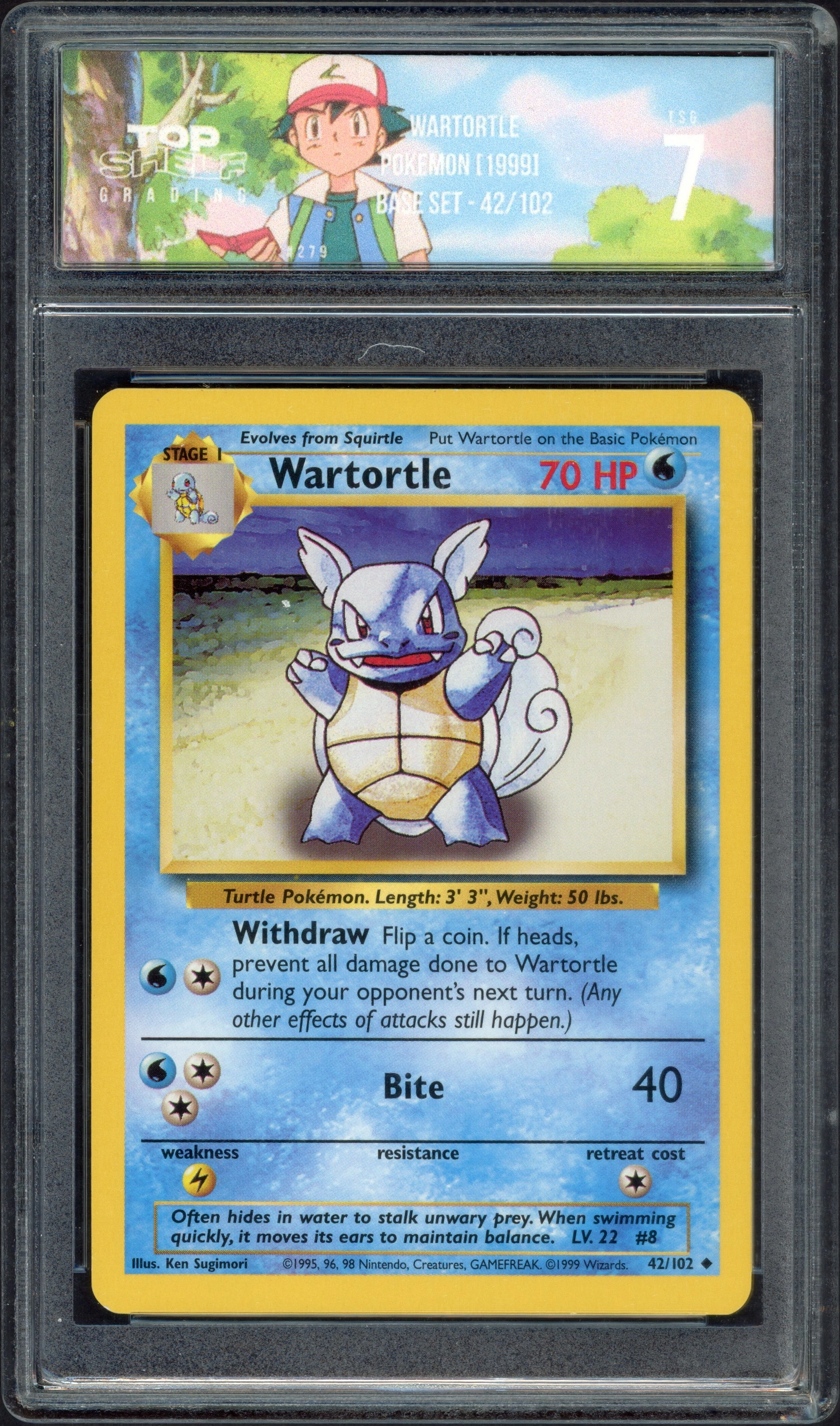 tsg-wartortle front