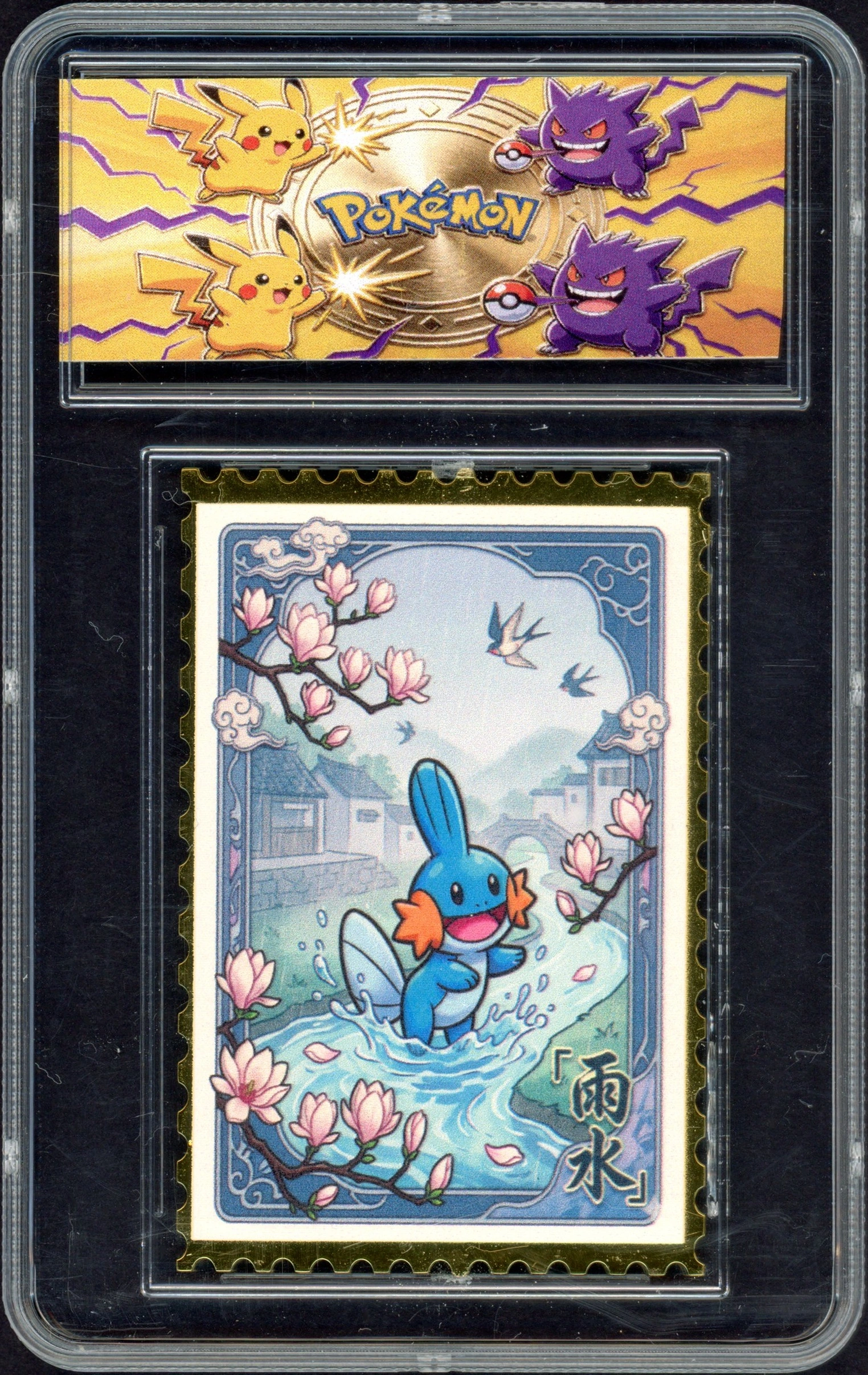 unknown-mudkip front