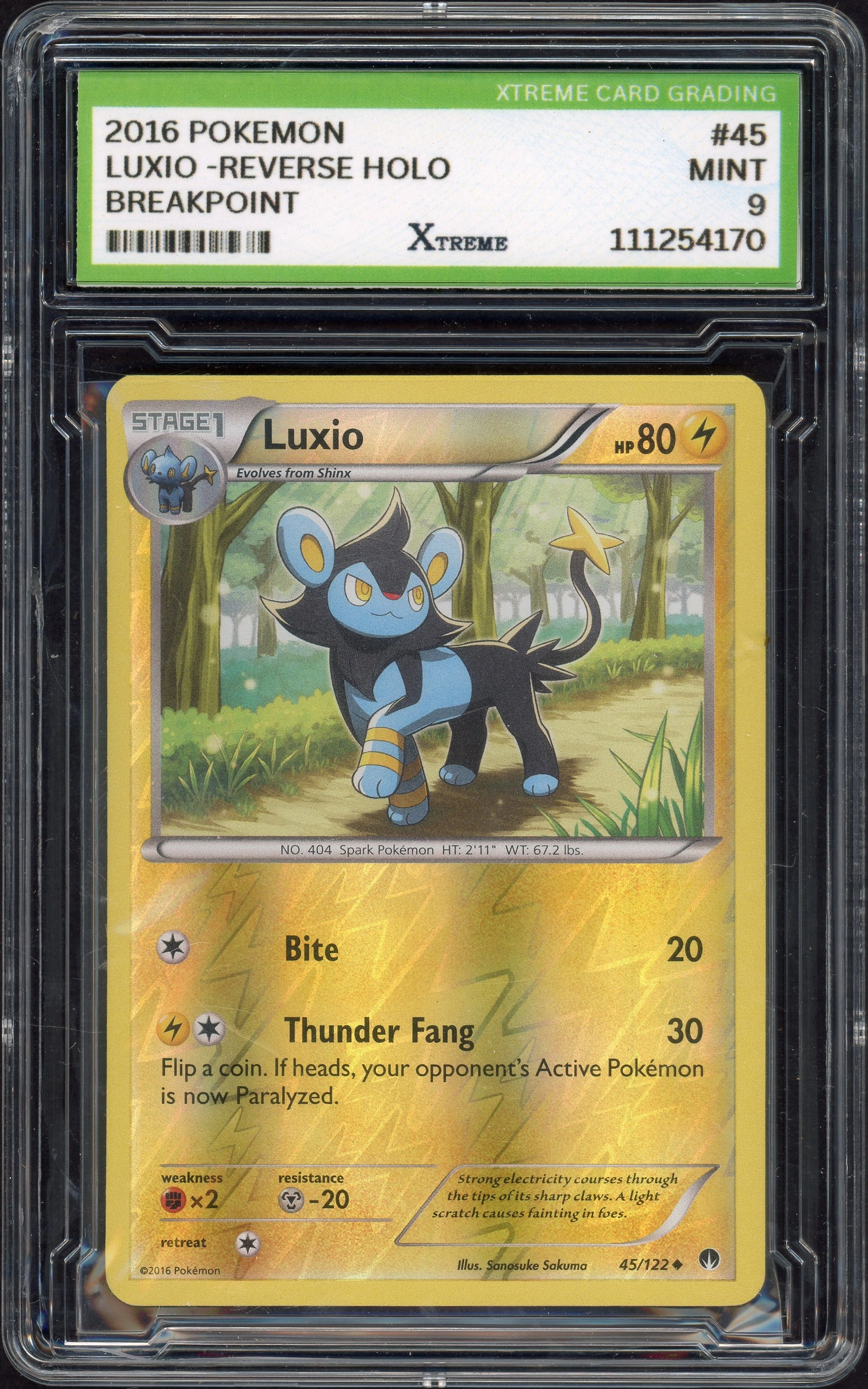 xtreme-luxio front