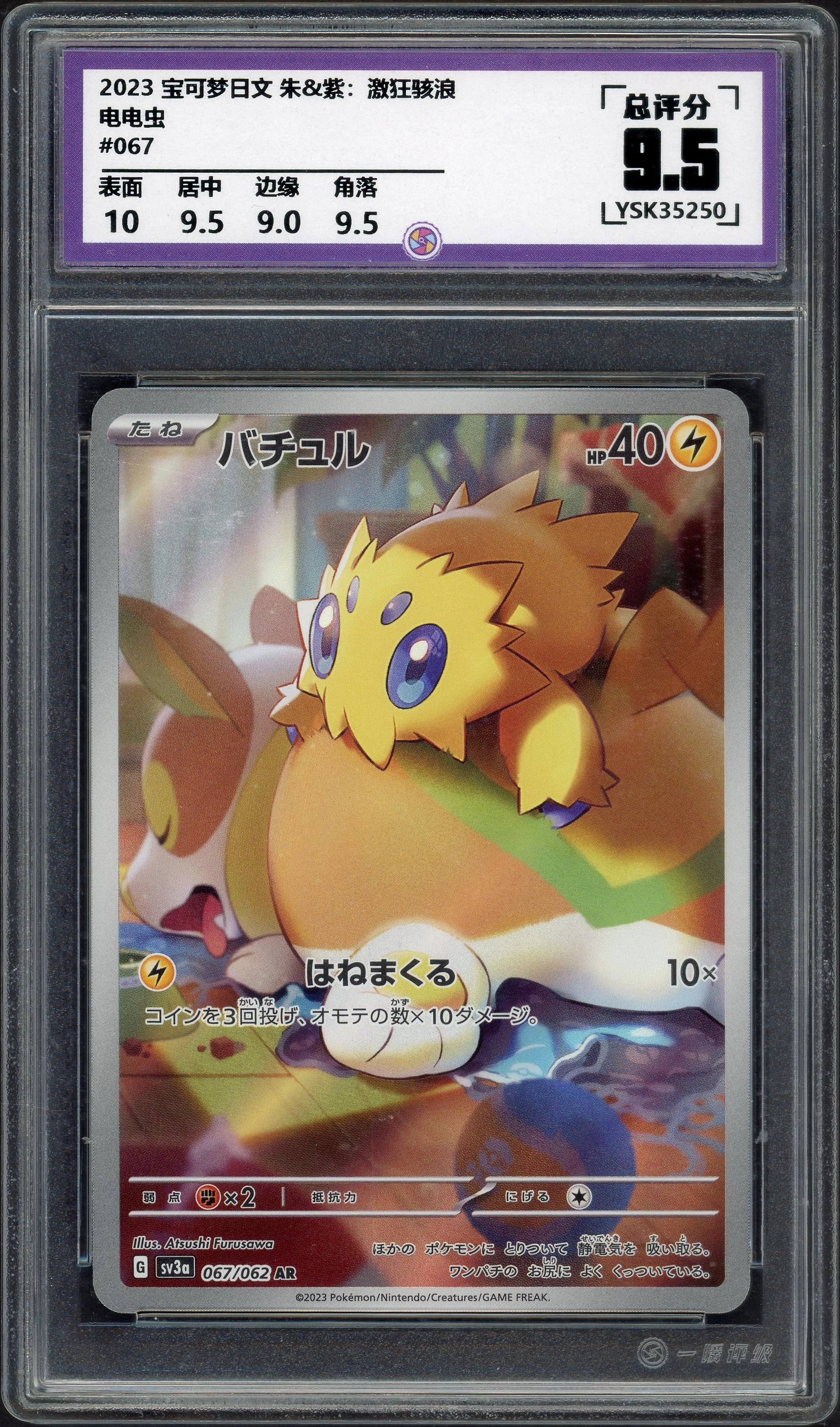 ysk-joltik front